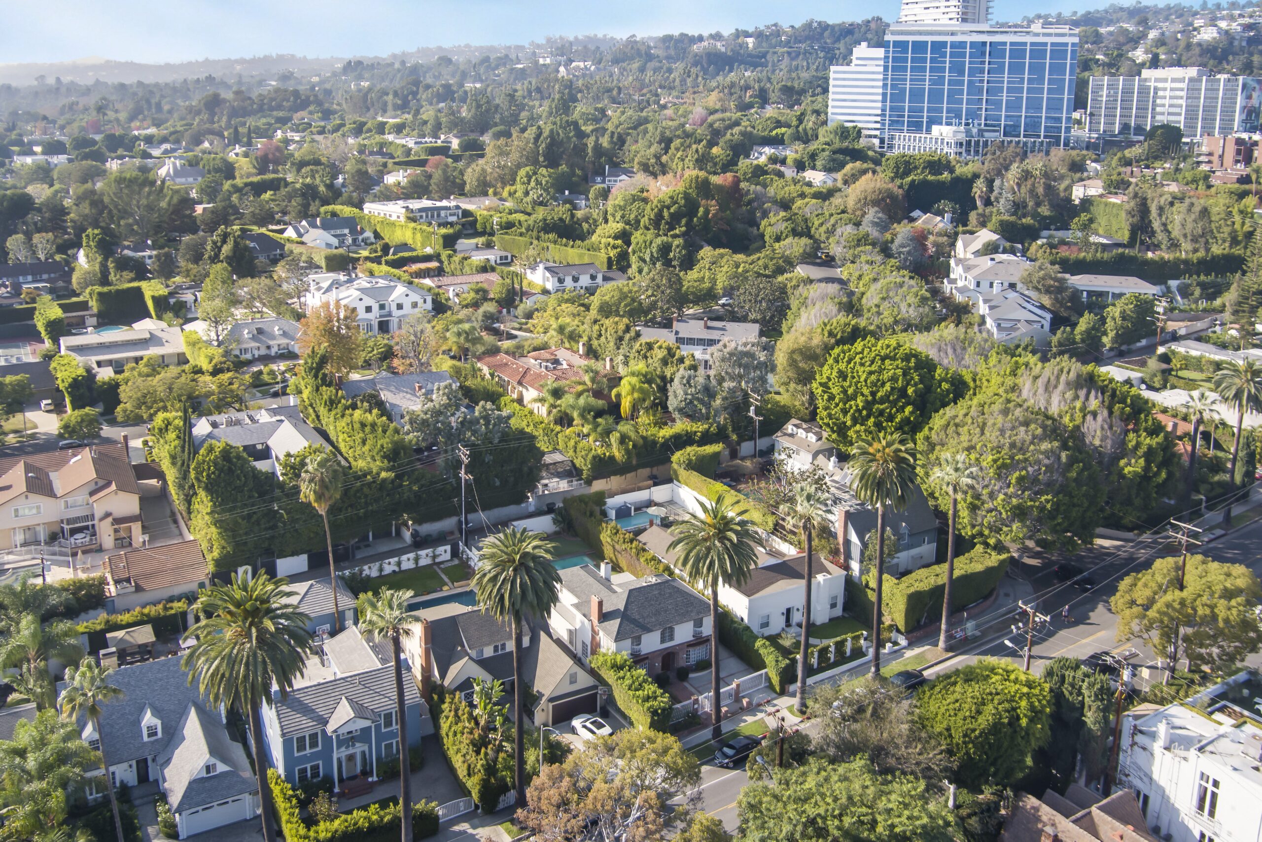 Los Angeles real estate transaction experience